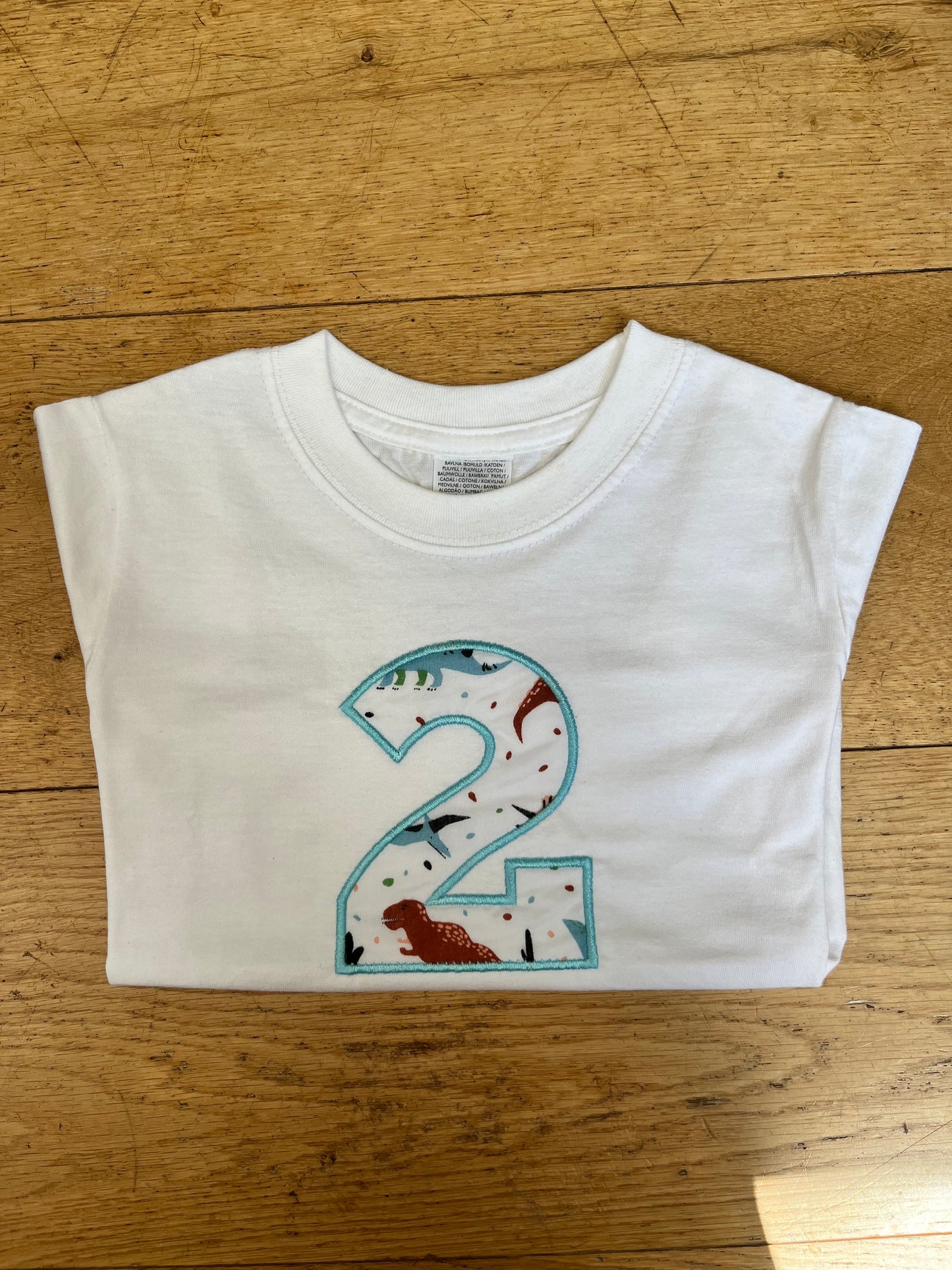 Embroidered Dinosaur Age 2 T-Shirt